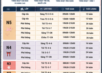 LKG T11-12
